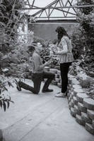 Proposal