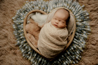 Wally Newborn -Ellie